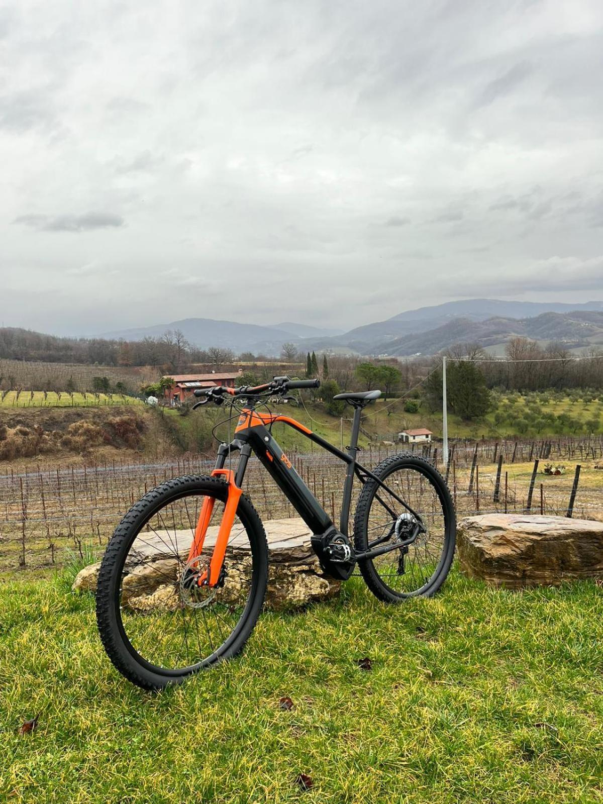 Agriturismo Spolert Winery Prepotto  Εξωτερικό φωτογραφία
